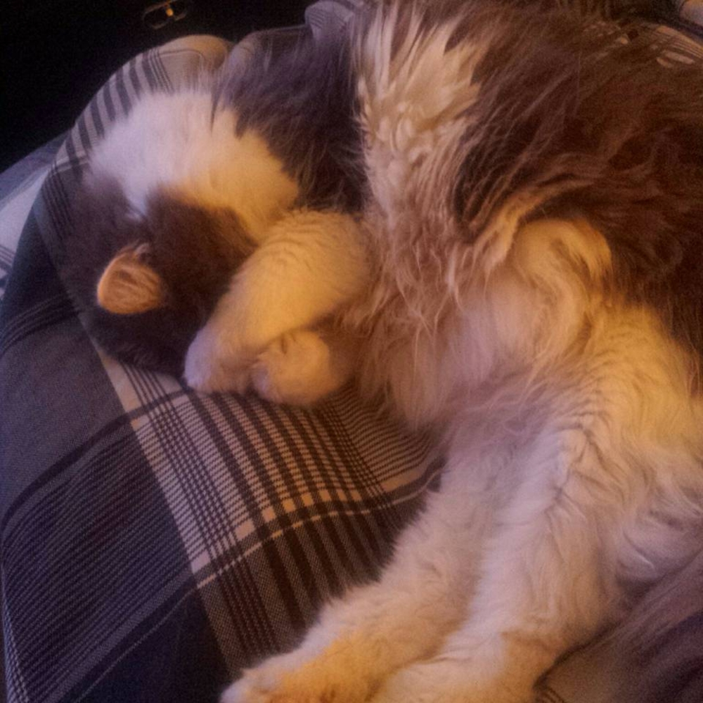 Meet your Posher, Tanya